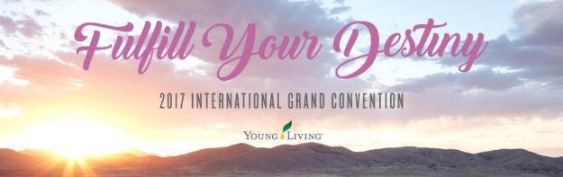 Convention2017YL